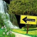 بیمه عمر پاسارگاد