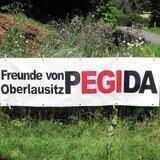 Freunde von PEGIDA