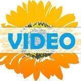ВІСНИК: ВІДЕО & ПОДАТКИ