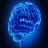 🧠 Psychology Videos Mind Tricks