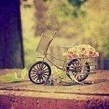 متلازمة عشق ❤