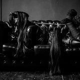 выдох Holon 18+