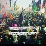 انصار الحجة (عج)313