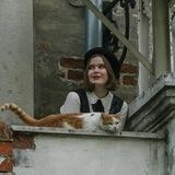 история и котики / ЕГЭ ОГЭ стадикэтс