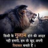 Daily Motivation & Facts