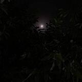 سنٌسأل يوماً🍃💜