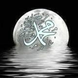 🌴 القرآن الكريم وأحاديث نبوية 🌴