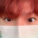 도영.