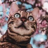 😻Готовые сторис💣