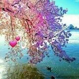 گلهای بهاری💕