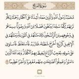 فاروق الأمة