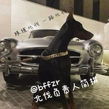 北伐的生活日记