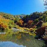 کۆڕی فەرهەنگی ژین، وشەدانی کوردی_کوردی.