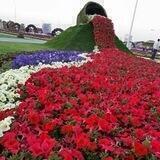 🌿قصص وعبر من حياة الأنبياء والصالحين والتابعين 🌹
