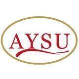 AYSU-GROUP