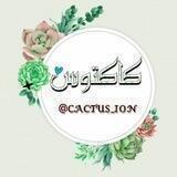 🍀🌵 کاکتوس🌵🍀