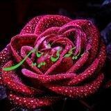 رایحه ی زیبایی