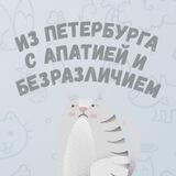 Типический петербуржец