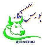 گروه بورس نگار