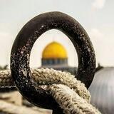 • مَجالِسُ السَّلف