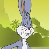 White Rabbit