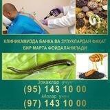 ХИЖАМА ВА ЗУЛУК КЛИНИКАСИ