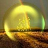 🌹🦋 رفاقت با شهدا 🦋🌹