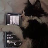 Playlist