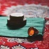 البرنامج المهدوي 🌸