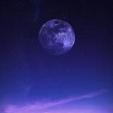 مميزون بالبنفسج💜🌸