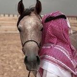 - ˼‏ عـبـاراٺ ˹. .♪-