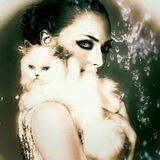 Frau Fash Cats
