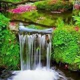 🌱غراس الجنة🌱