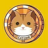 Baby catcoin 2.0
