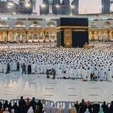 حمامةُ السلام🕊