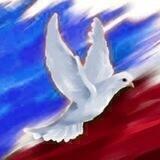 🇫🇷 Actions France