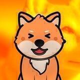 SaveDoge