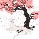 •••/🍃Sakura🌸\•••