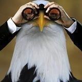 Eagle Eyes