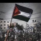 فلسطيني 🖤🇵🇸|•