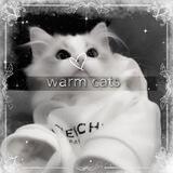 ៹ ࣪˖⁩🌥‹Ⲧёⲡⲗыⲉ ⲕⲟⲧы|·🐾♡ ๋࣭