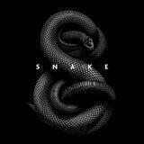 ΩｓｎａｋｅｓΩ