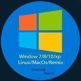 Window (Team Os)™