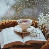 فصلی برای کتاب