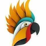Магальский попугай🦜