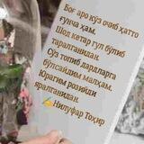 НИЛУФАР ТОҲИР ИЖОДИ