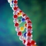 Medical & Human Genetics