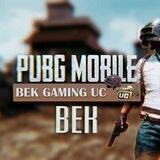 BEK GAMING UC XIZMATI