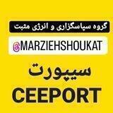 گروه تمرینی و آموزشی سپاسگزاری و انرژی مثبت و پاکسازی سیپورت آب آبی خورشیدی آموزش تکنیک برای حال خوب
