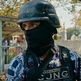 Cartel videos
